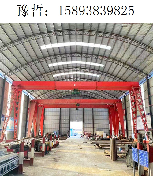 9825豫哲龙门吊101